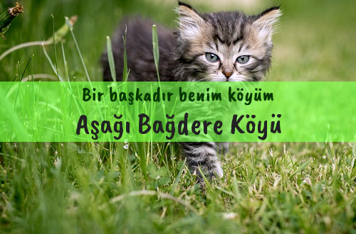 Aşağı Bağdere Köyü